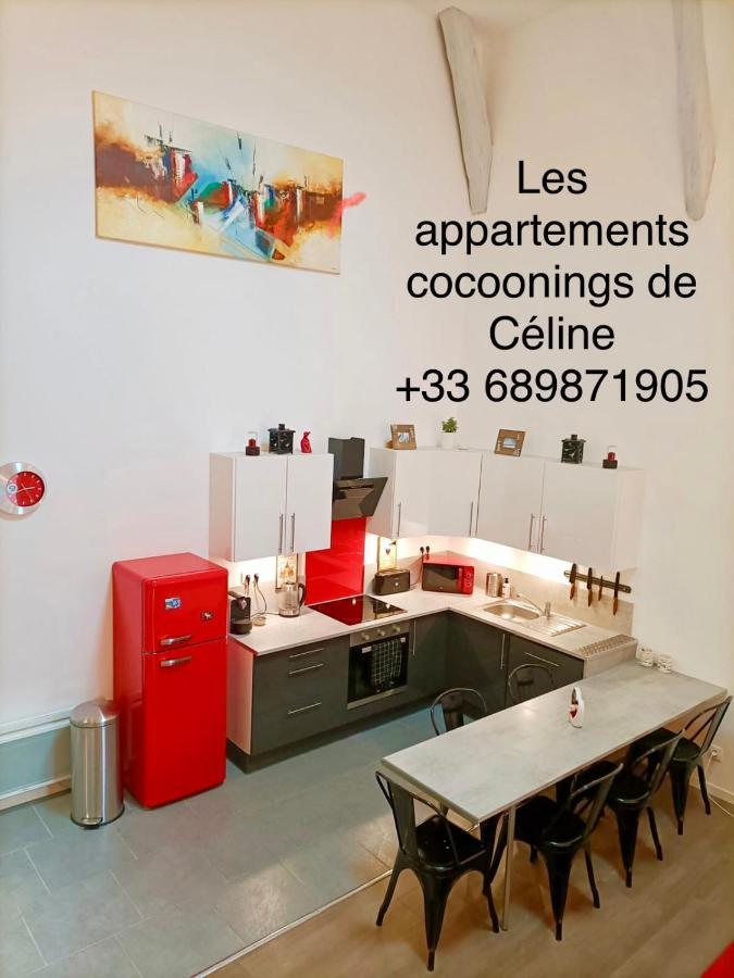 Superbe Appartement Type Loft En Duplex Rue Buat Châlons-en-Champagne Kültér fotó